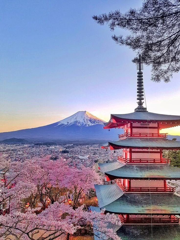 Jap&oacute;n